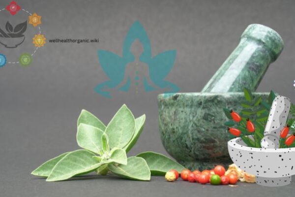 well health organic ayurveda