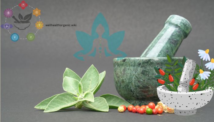 well health organic ayurveda