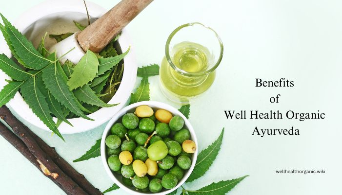 well health organic ayurveda