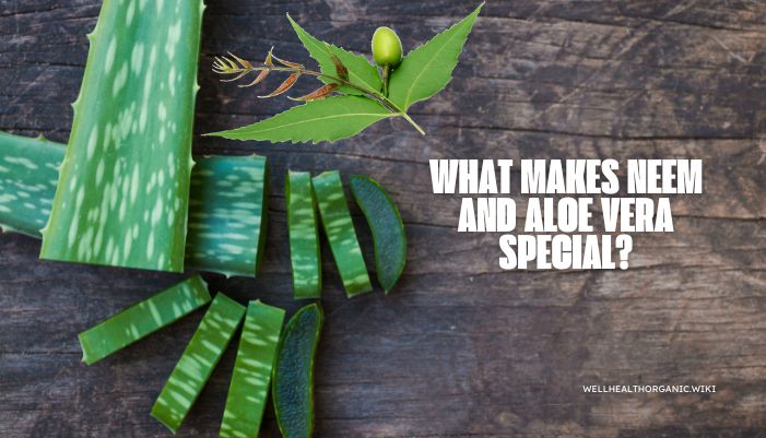 wellhealthorganic.com : neem and aloe vera juice