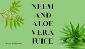 wellhealthorganic.com : neem and aloe vera juice