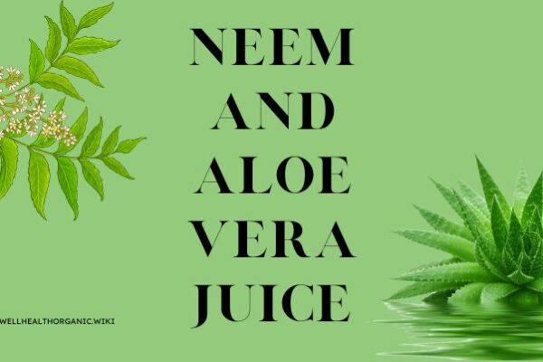 wellhealthorganic.com : neem and aloe vera juice