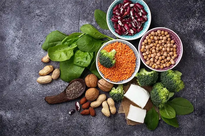 wellhealthorganic.com:vegetarian protein sources