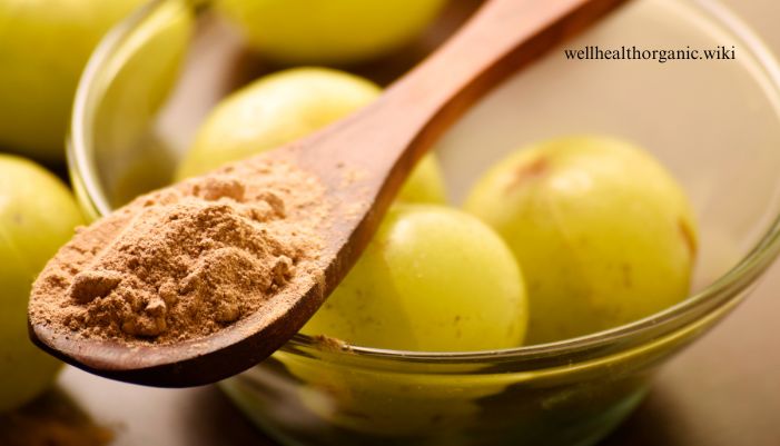 amla powder benefits in hindi