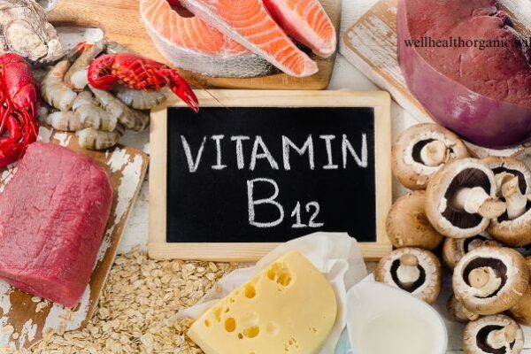 vitamin b12 sources in hindi