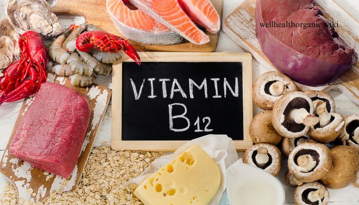 vitamin b12 sources in hindi