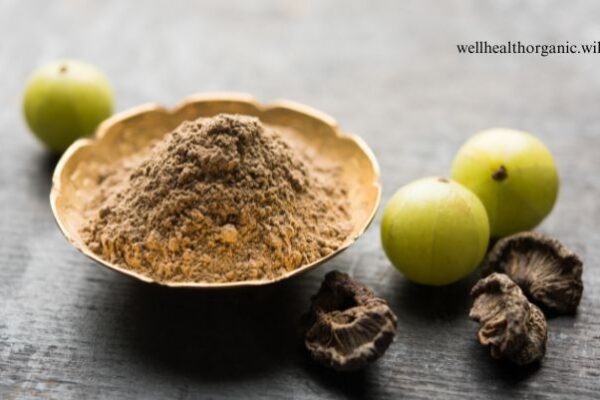 amla powder benefits in hindi