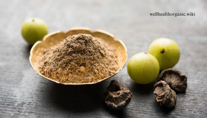 amla powder benefits in hindi