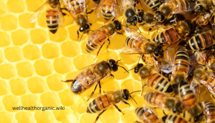 how to consume honey