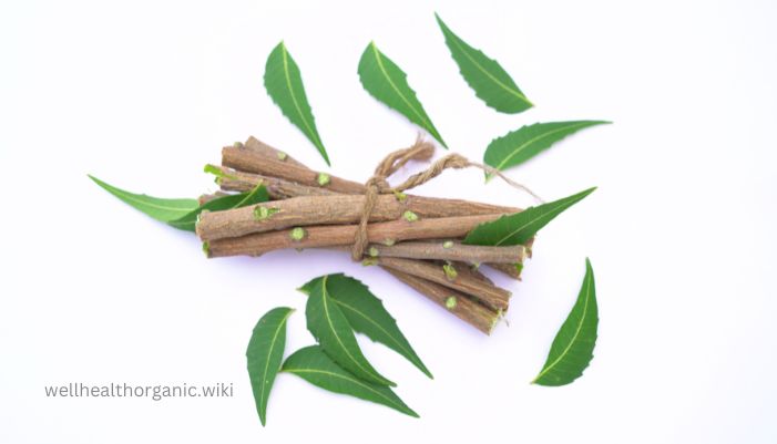 benefits of neem tree in hindi