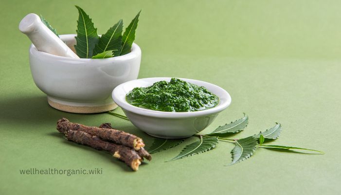 benefits of neem tree in hindi